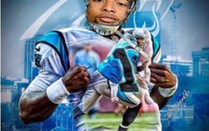 odel newton