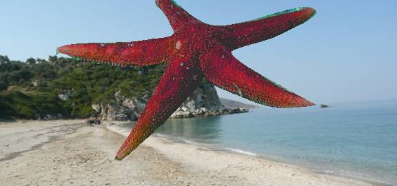 omg seastar