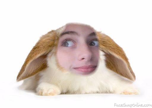 rabbit faceee