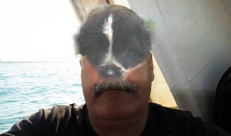 the little dog and ME